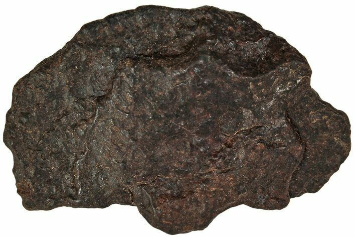 Chondrite Meteorite ( g) - Western Sahara Desert #222597